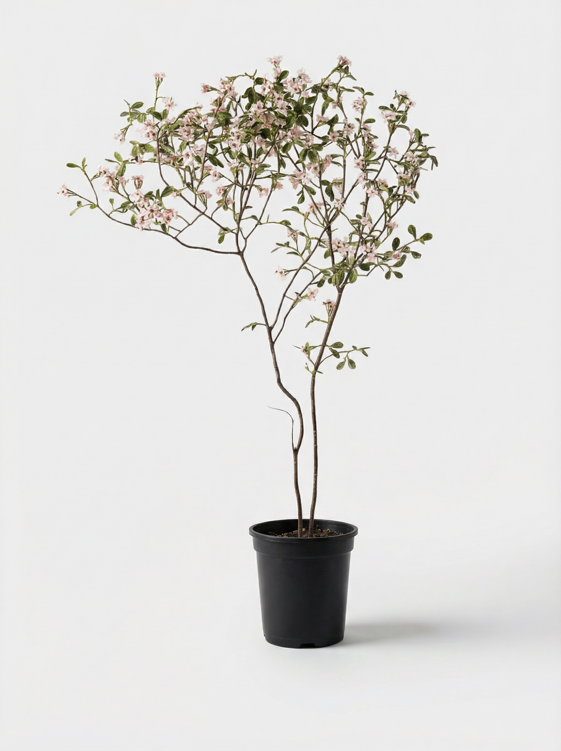Flower Tree 160cm