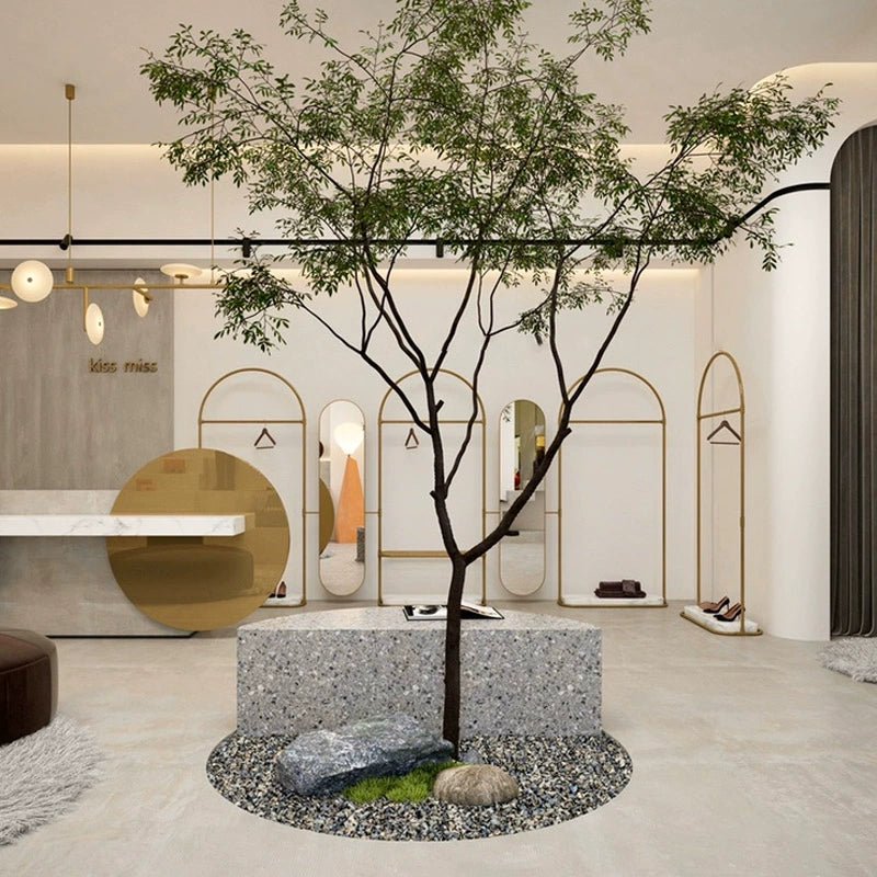 Ficus Bonsai Tree - Real - Trunk Artificial - Potted plant - 4776604040061 - Tumbleweed Plants - Online Plant Delivery Singapore