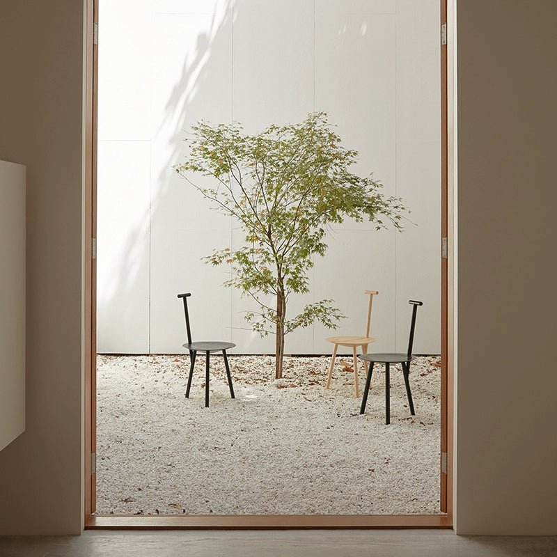 Ficus Bonsai Tree - Real - Trunk Artificial - Potted plant - 4776604040061 - Tumbleweed Plants - Online Plant Delivery Singapore