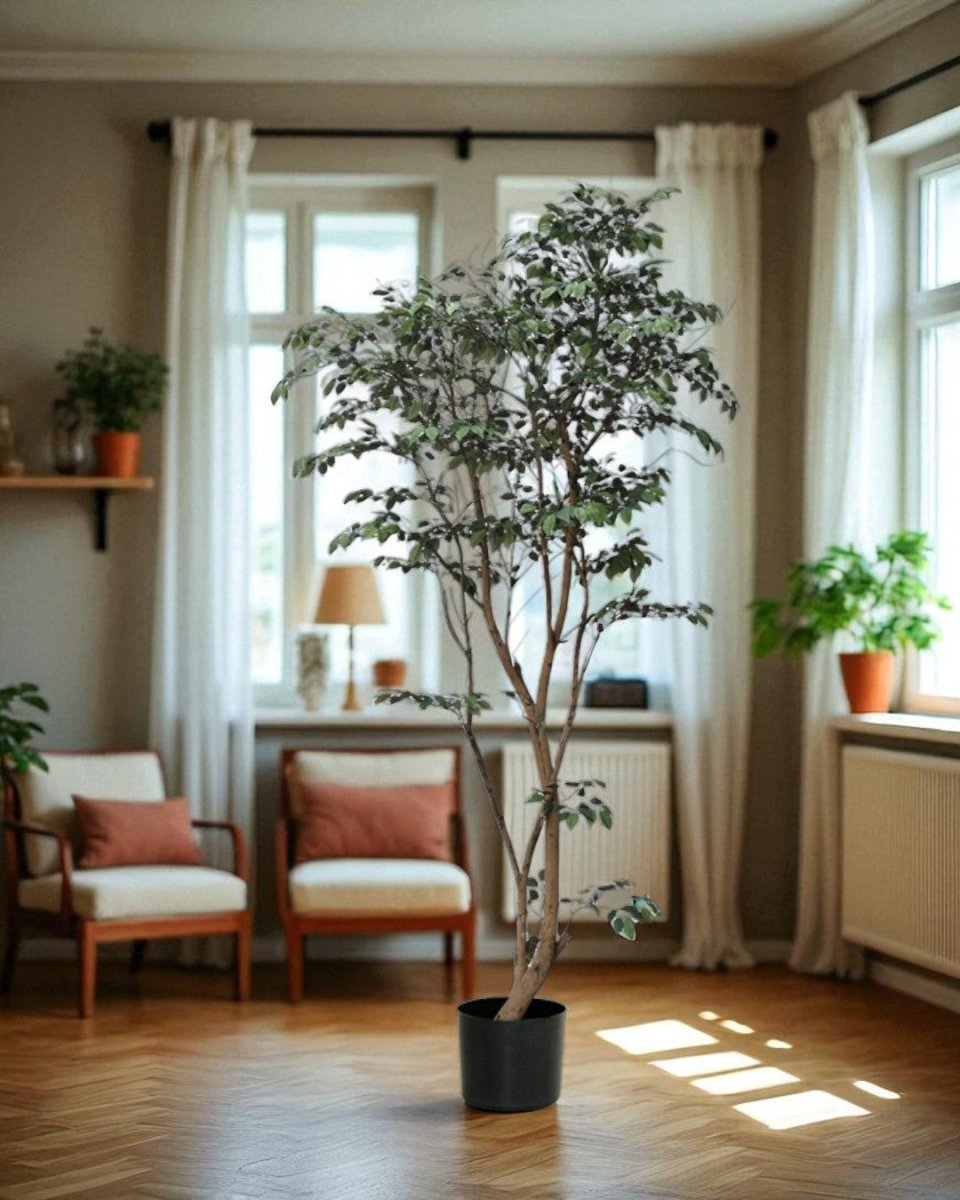 Ficus - Real - Trunk Artificial - Potted plant - 5516314535781 - Tumbleweed Plants - Online Plant Delivery Singapore
