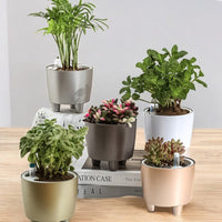 Flow HydroEase Pot - XS