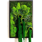 50*80cm / 1