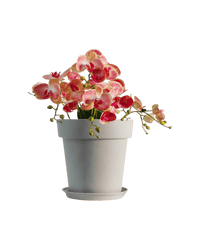 GAL Plastic Pots Large