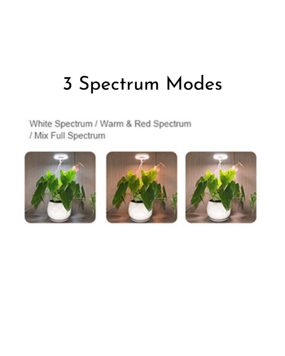 HALO Plant Lights - Plant Lights - 5843186099705 - Tumbleweed Plants - Online Plant Delivery Singapore