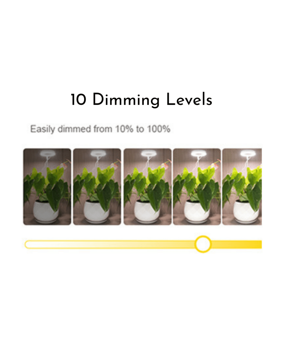 HALO Plant Lights - Plant Lights - 5843186099705 - Tumbleweed Plants - Online Plant Delivery Singapore