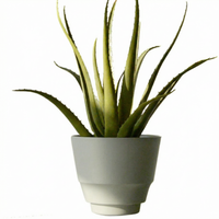Ash Core Cloudstone Pot - Medium