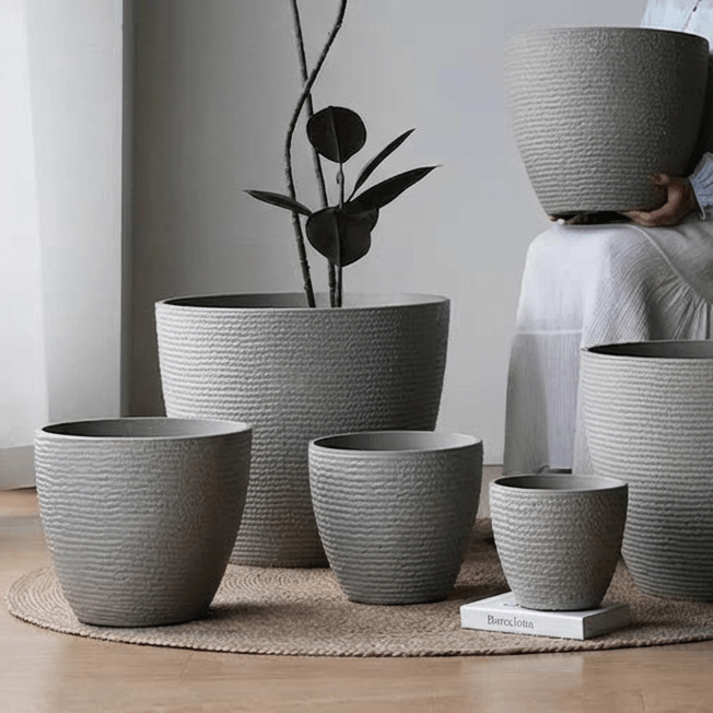 Cloudstone Classic Egg Planter - XL - Planter - 5111265910161 - Tumbleweed Plants - Online Plant Delivery Singapore