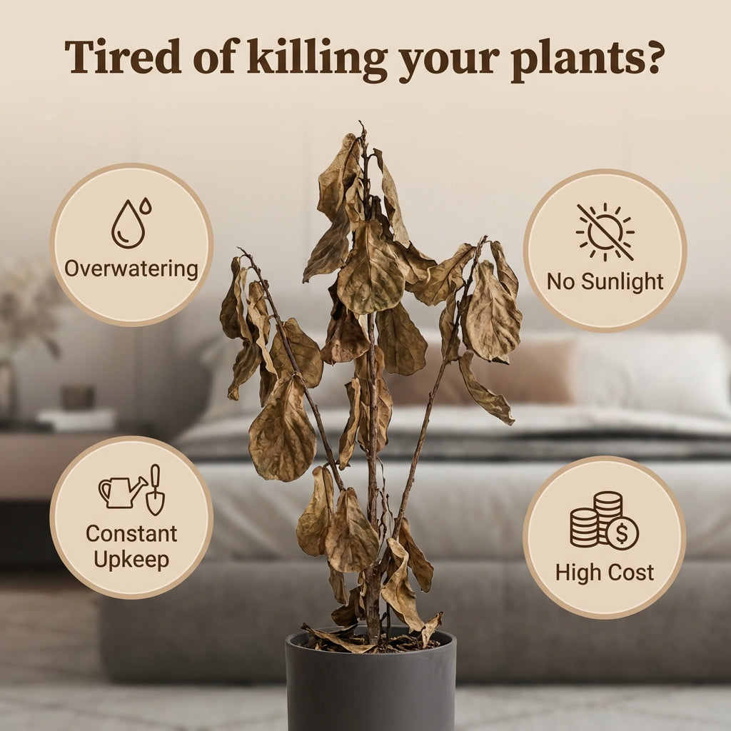 Fiddle Leaf Fig (Life-like Artificial)