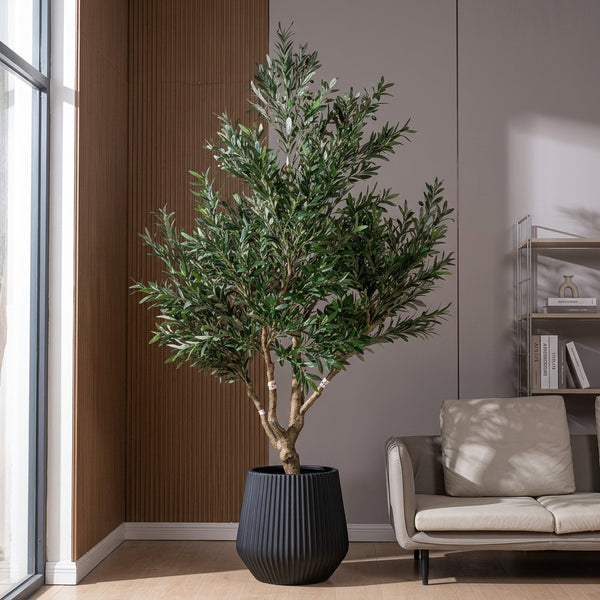 Tumbleweed Plants