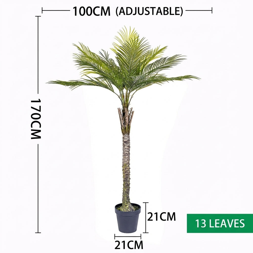 1.7m 13 leaves - thorn coconut