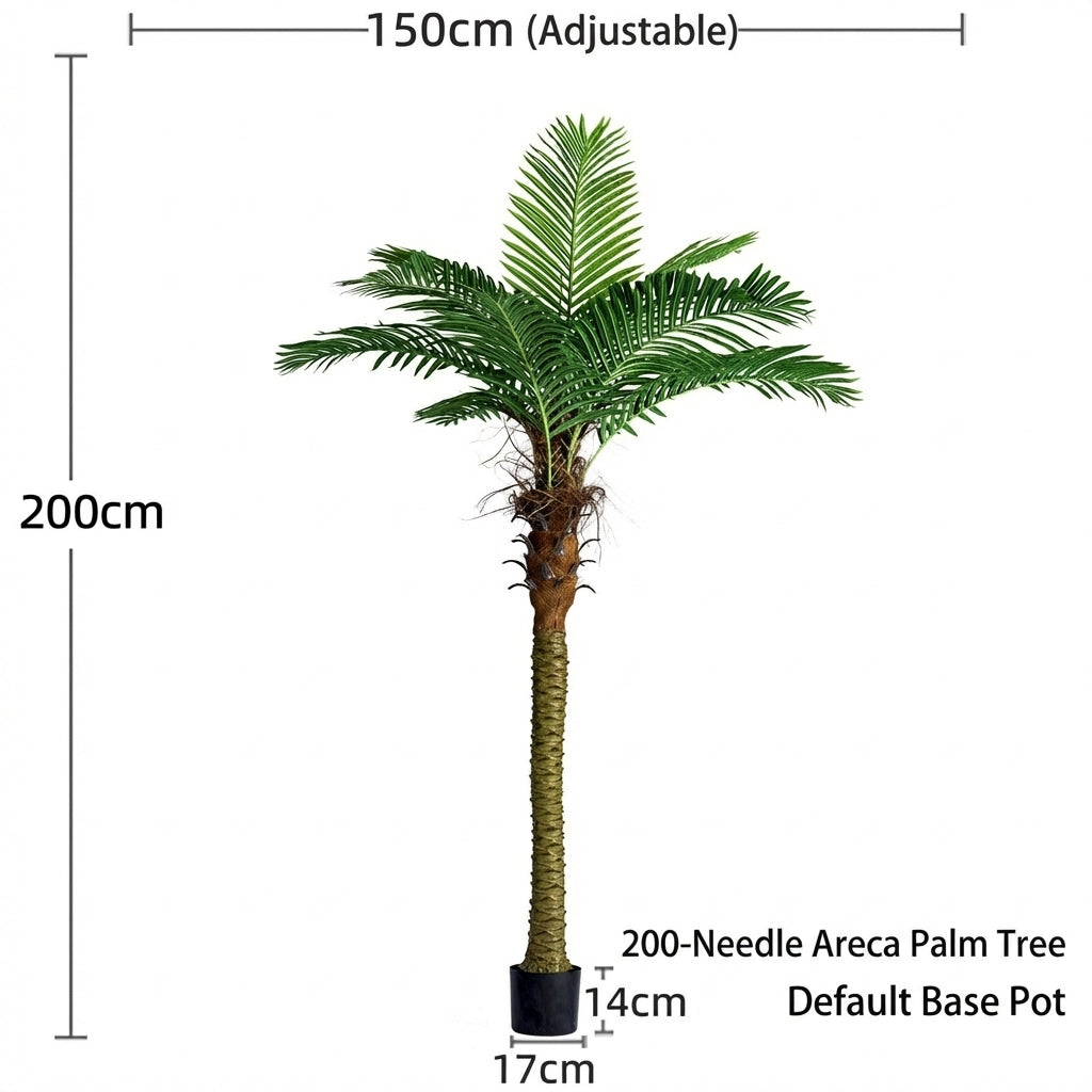 2m - needle coconut