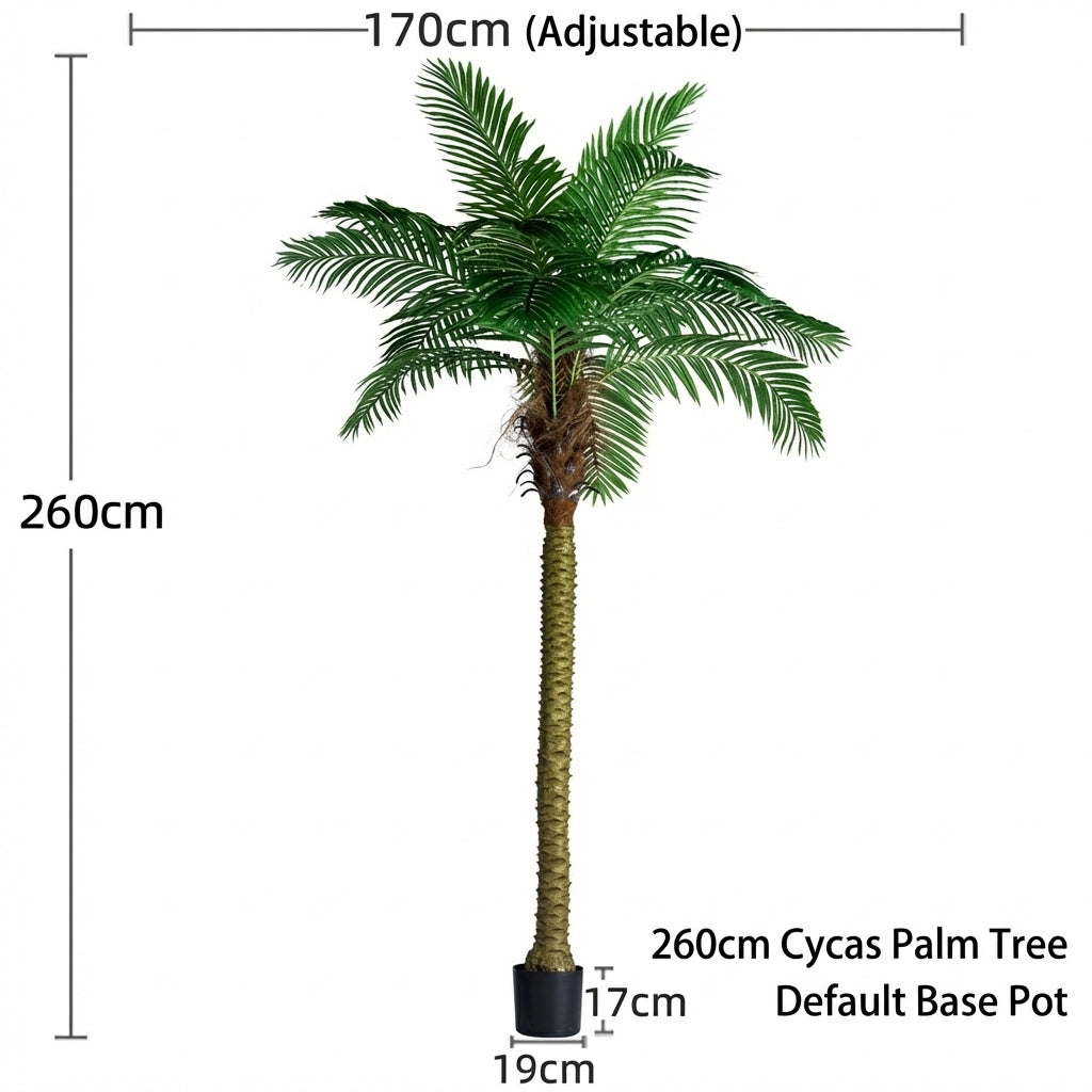 2.6m - needle coconut