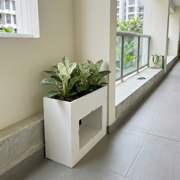 East Coast condo