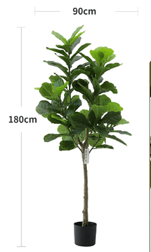 Fiddle-leaf Fig (Life-like Artificial) - Potted plant - POTT-FIDD-GRWM-7476 - Tumbleweed Plants - Online Plant Delivery Singapore
