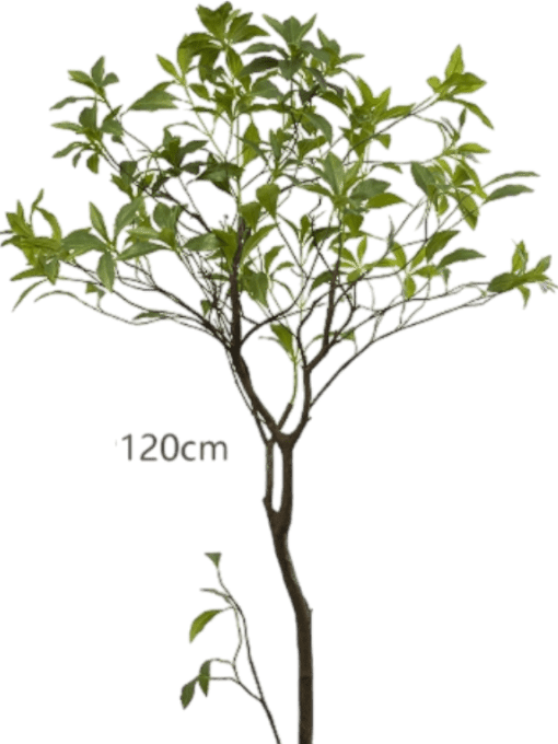 Japanese Andromeda - Real-Trunk Artificial