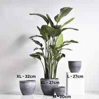 AirStone Egg Pots - Large