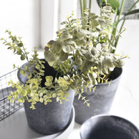 AirStone V Pot - Large