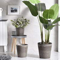 AirStone V Pot - Large