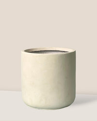 Elysia XL