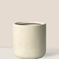 Elysia XL