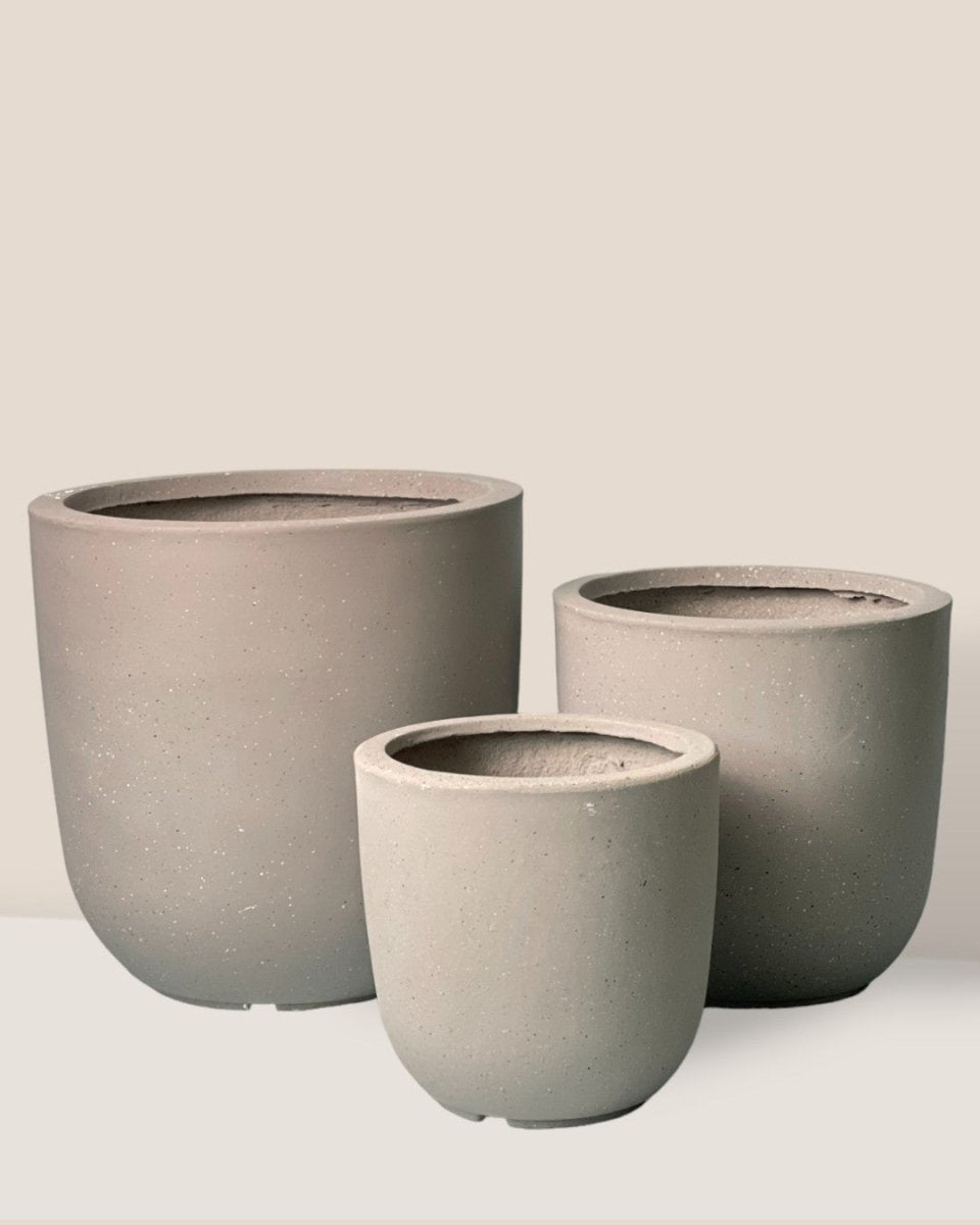 Large Zeni Planter - 21cm - Pot - Tumbleweed Plants - Online Plant Delivery Singapore