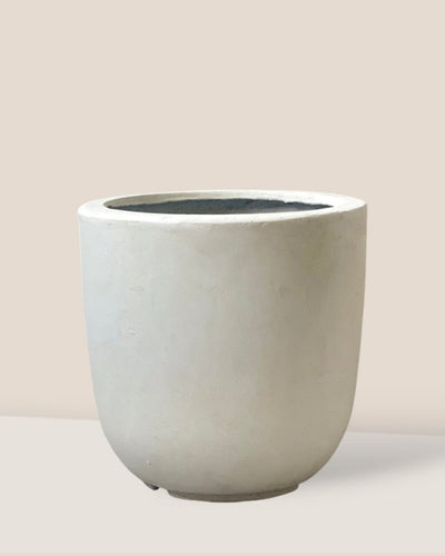 Zeni Planter - Large