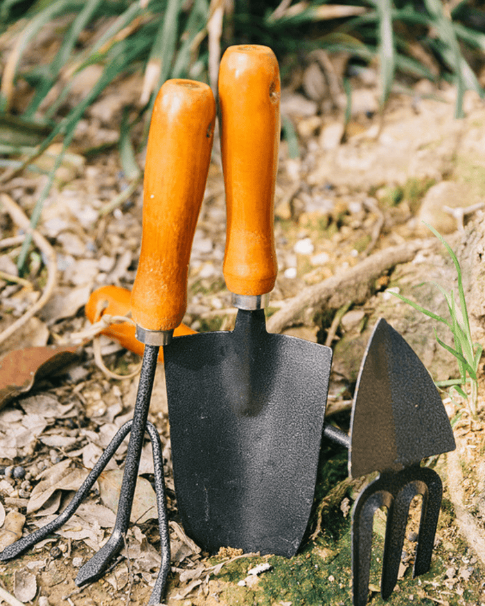 Leaf & Soil Hand Tools - Garden Tools - 4805142544042 - Tumbleweed Plants - Online Plant Delivery Singapore