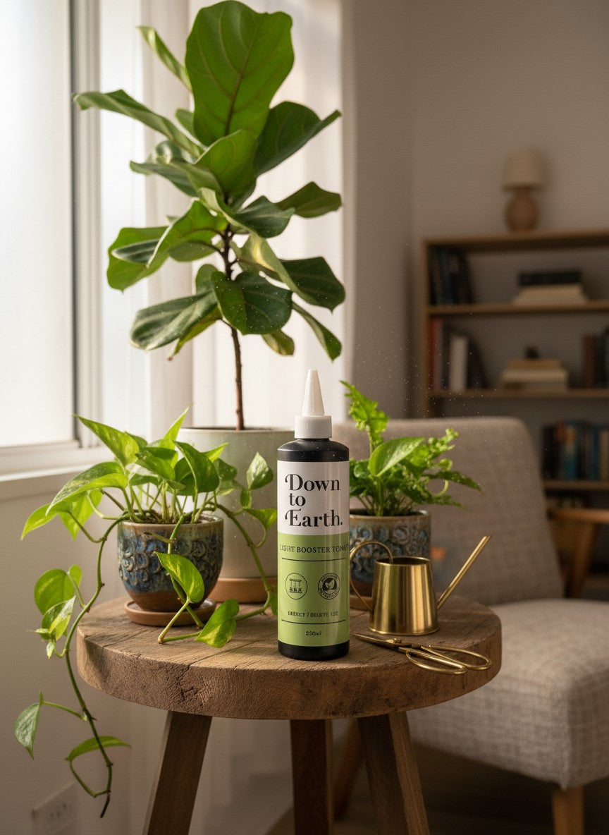 Down To Earth. Light Booster Tonic – Indoor Growth Support