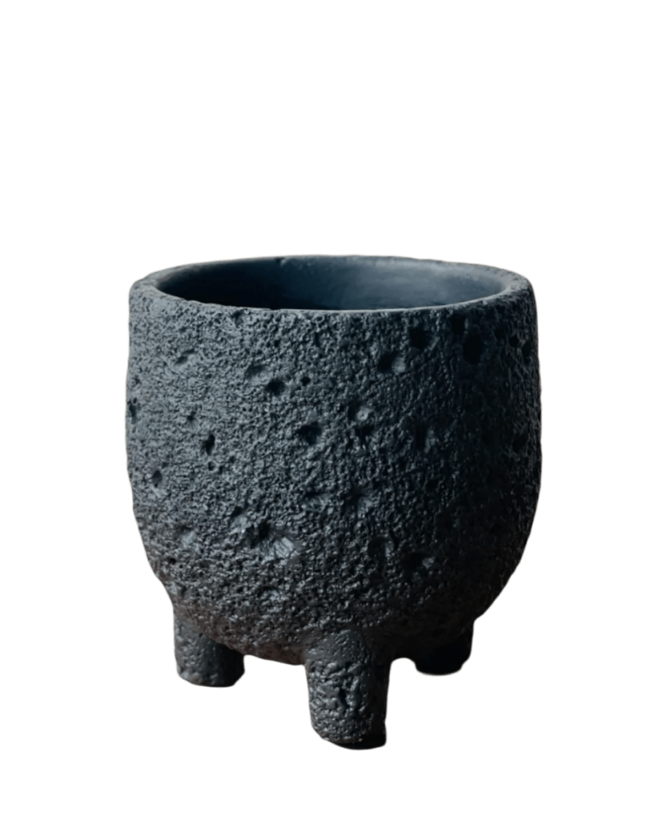 Mini Anya Cement Pot - Pots - POTS - MINI - 6491 - Tumbleweed Plants - Online Plant Delivery Singapore