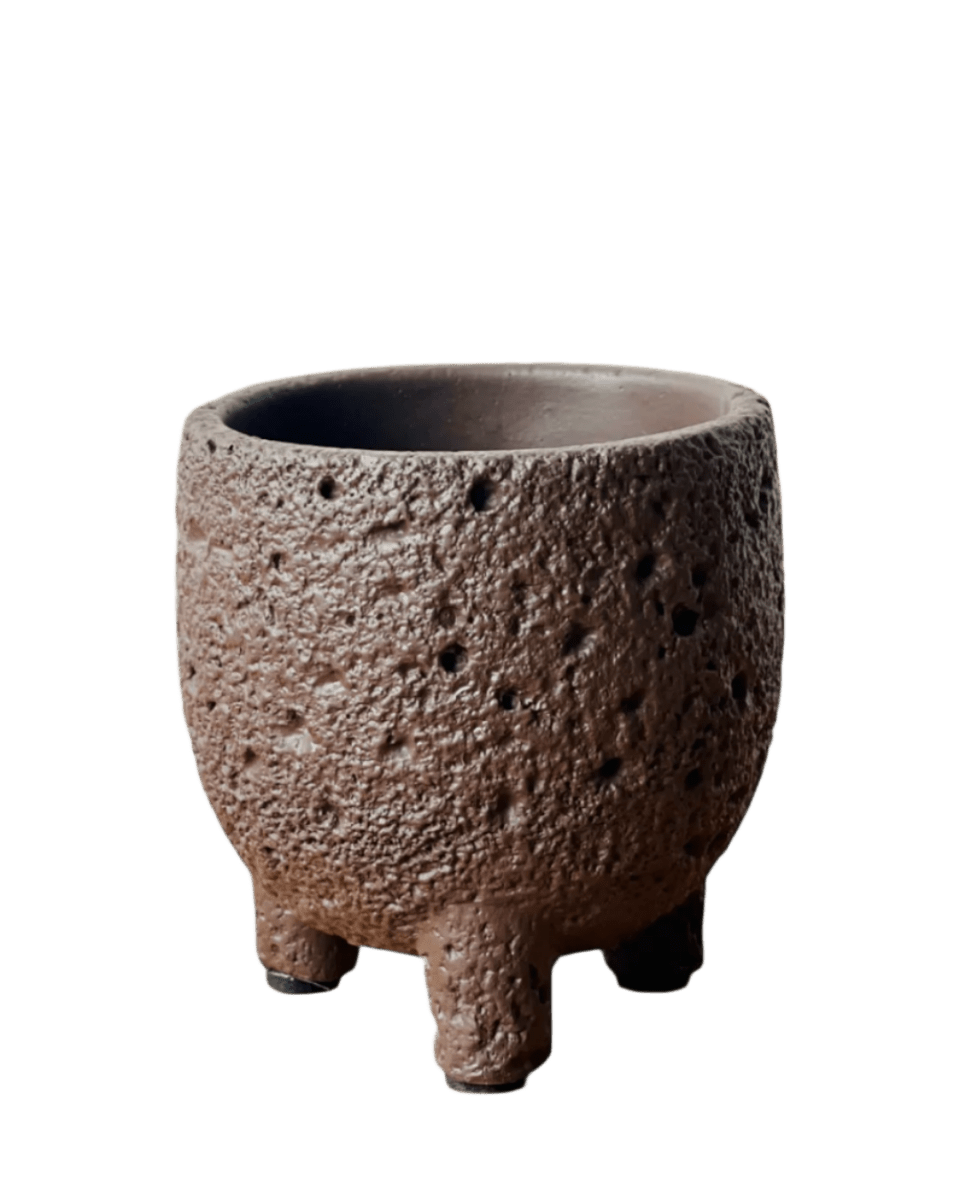 Mini Anya Cement Pot - Pots - POTS - MINI - 6492 - Tumbleweed Plants - Online Plant Delivery Singapore