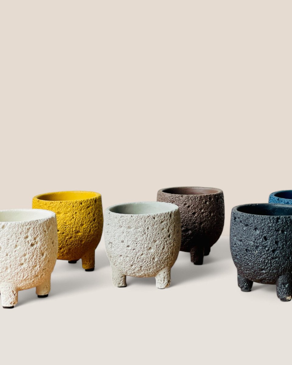 Mini Anya Cement Pot - Pots - POTS - MINI - 6489 - Tumbleweed Plants - Online Plant Delivery Singapore