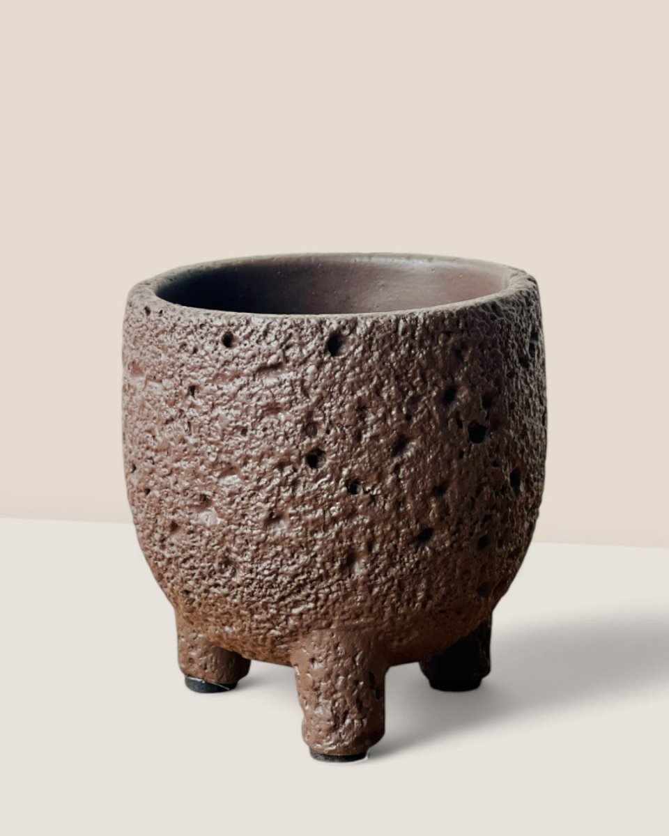 Mini Anya Cement Pot - Pots - POTS - MINI - 6489 - Tumbleweed Plants - Online Plant Delivery Singapore