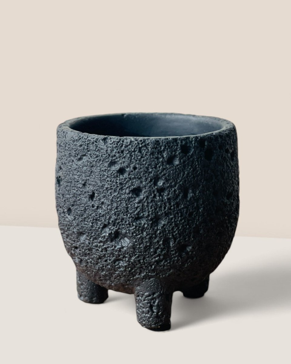 Mini Anya Cement Pot - Pots - POTS - MINI - 6489 - Tumbleweed Plants - Online Plant Delivery Singapore