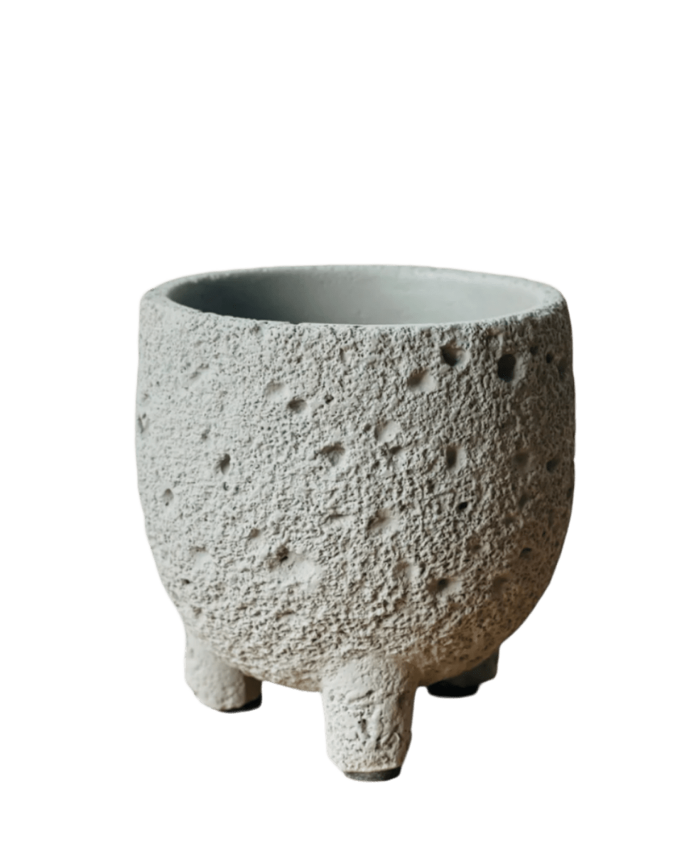 Mini Anya Cement Pot - Pots - POTS - MINI - 6489 - Tumbleweed Plants - Online Plant Delivery Singapore