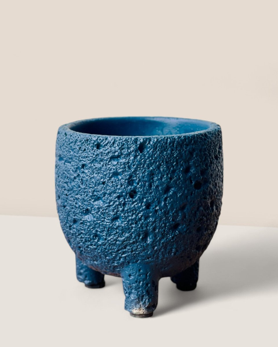 Mini Anya Cement Pot - Pots - POTS - MINI - 6489 - Tumbleweed Plants - Online Plant Delivery Singapore