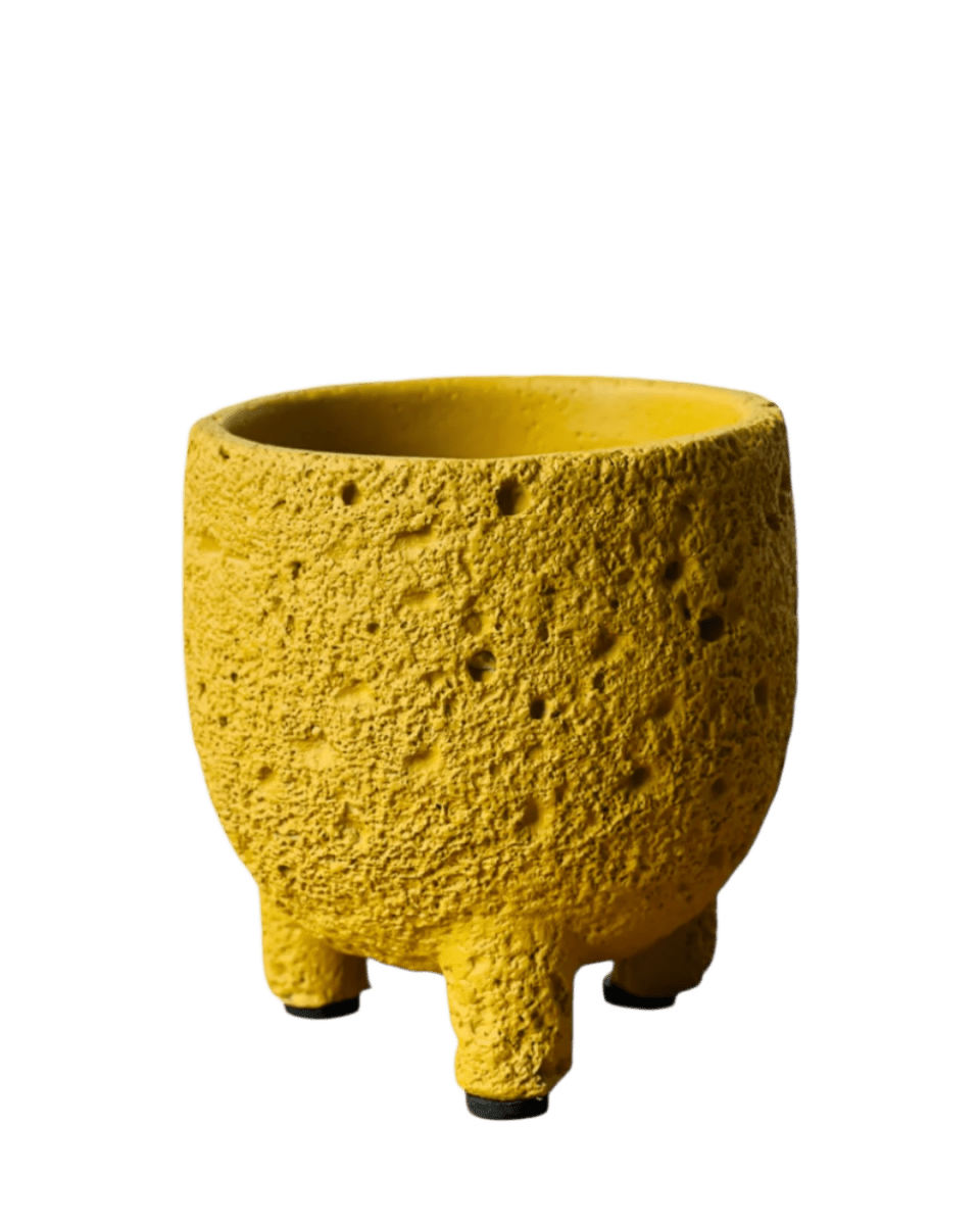 Mini Anya Cement Pot - Pots - POTS - MINI - 6493 - Tumbleweed Plants - Online Plant Delivery Singapore