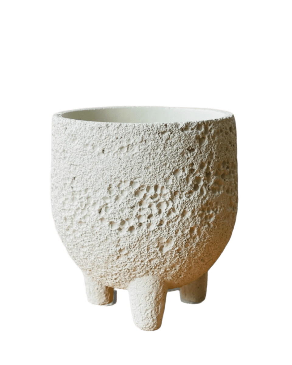 Mini Anya Cement Pot - Pots - POTS - MINI - 6494 - Tumbleweed Plants - Online Plant Delivery Singapore