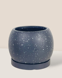 Nala Planter - Medium
