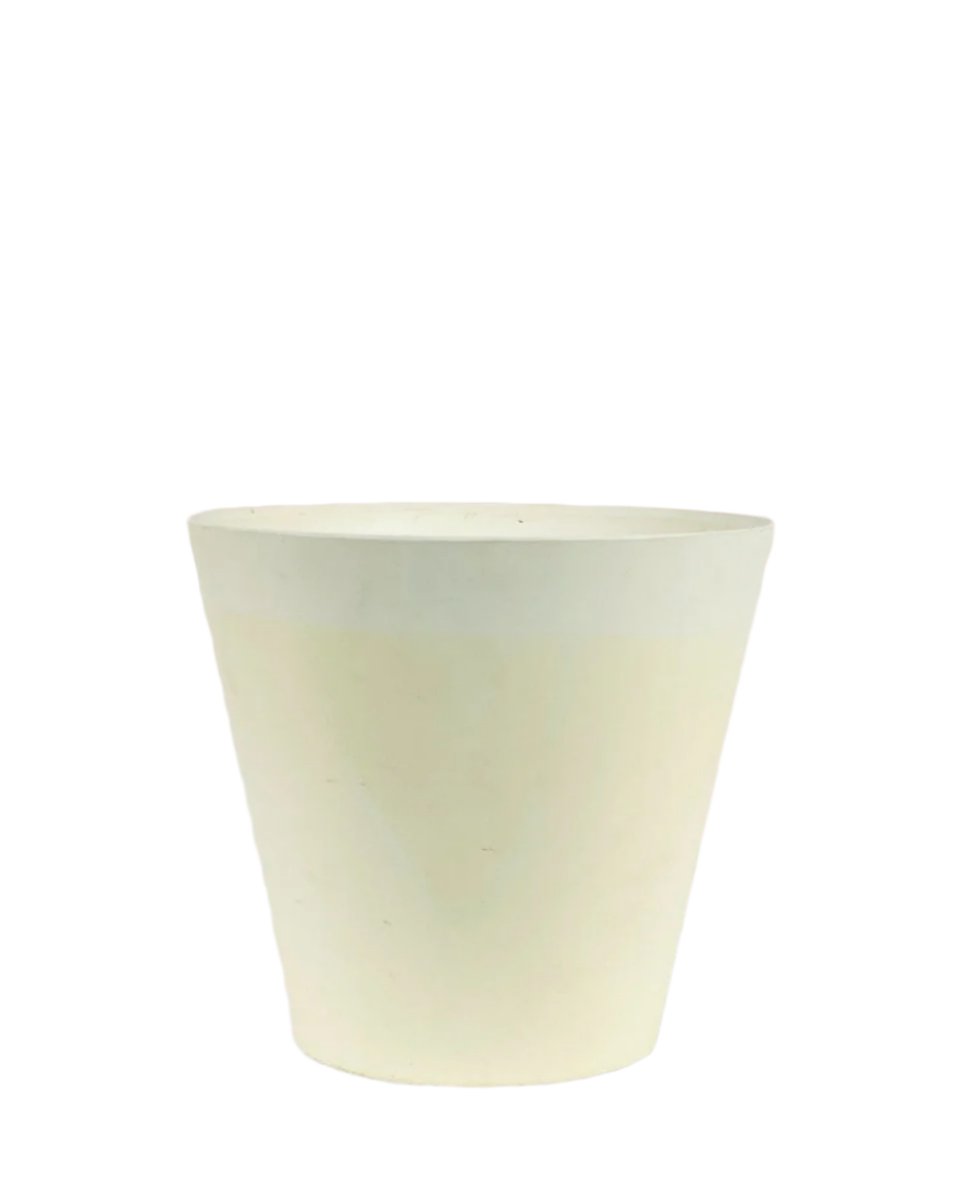 Myra - 20cm - Pots - Tumbleweed Plants - Online Plant Delivery Singapore