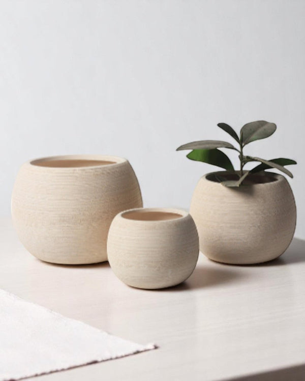 Nala Curves Planter - Medium - Planter - 5481511057788 - Tumbleweed Plants - Online Plant Delivery Singapore