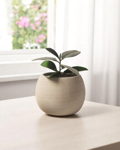 Nala Planter - Medium