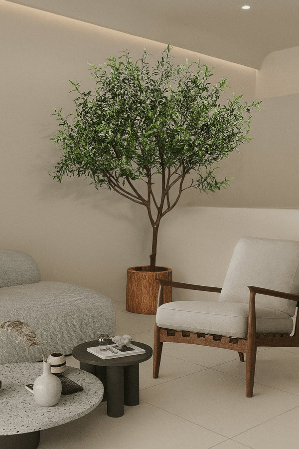 Tumbleweed Plants