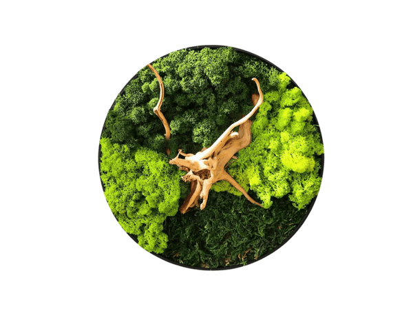 Orb Green