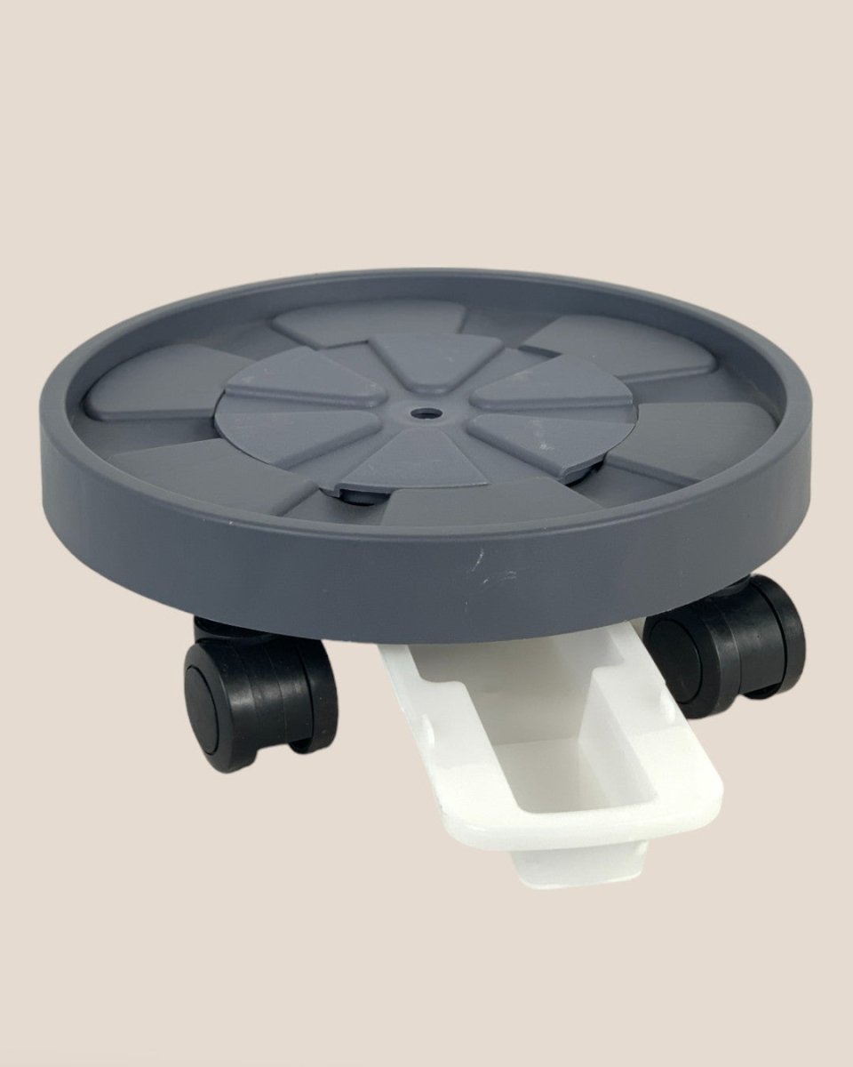 Plant Tray Trolley (Gray) - 23cm - Tray - Tumbleweed Plants - Online Plant Delivery Singapore