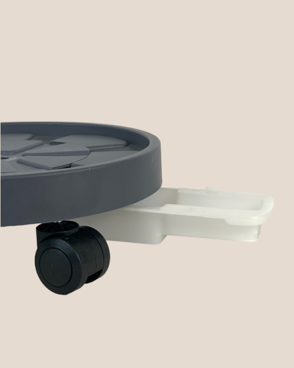 Plant Tray Trolley (Gray) - 23cm - Tray - Tumbleweed Plants - Online Plant Delivery Singapore