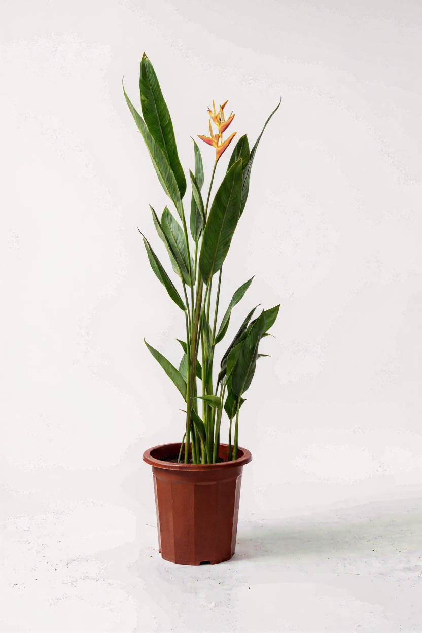 Grow Pot