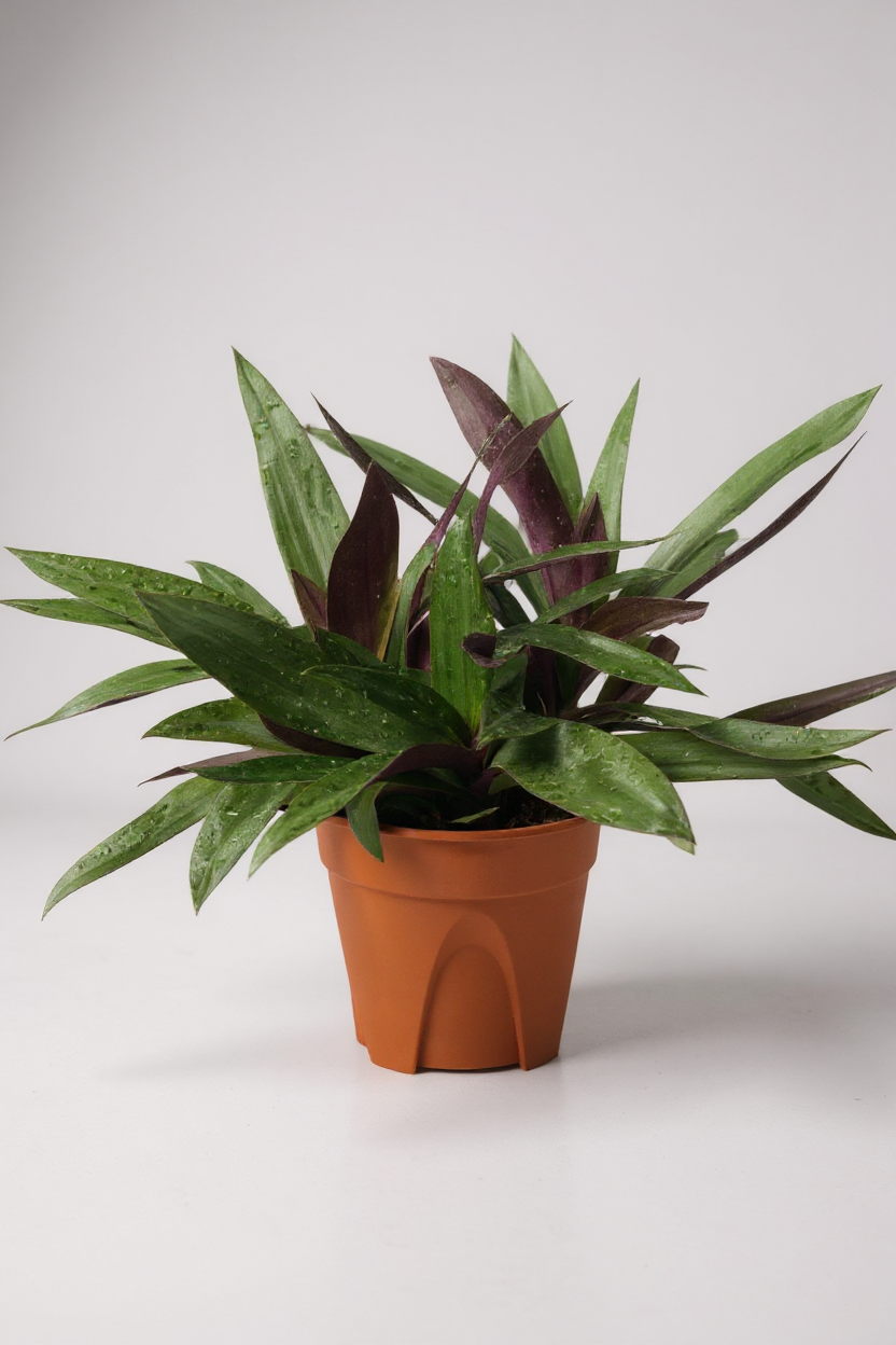 Grow Pot