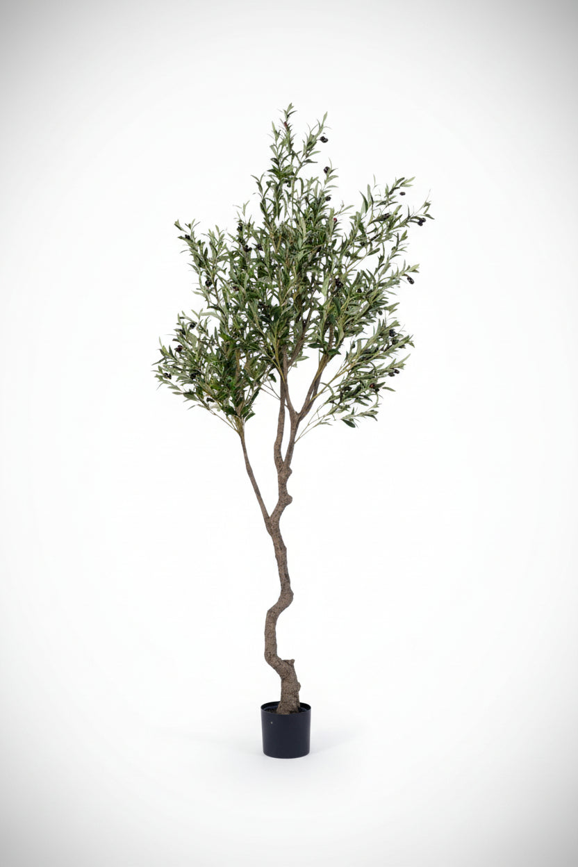Grow Pot