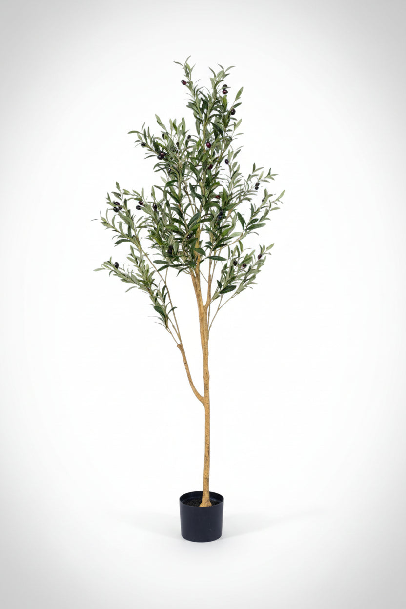 Olive Tree (Life-like Artificial)