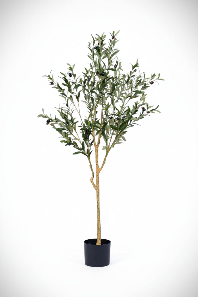 Olive Tree (Life-like Artificial)
